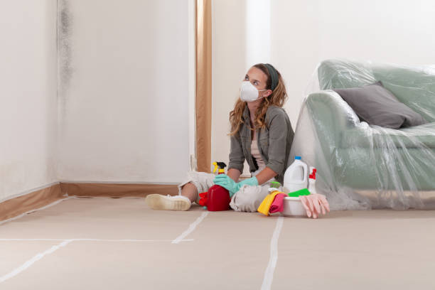 Reliable Mold Cleanup contractor in Williamstown, NJ by Cheap Mold Removal